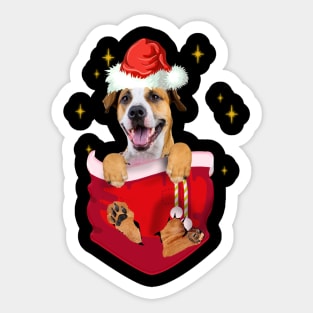 Pitbull In Pocket Christmas Gift Sticker